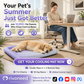 ⏳LAST DAY SALE ONLY💲23.99!!❄️Pawchill™🇺🇸Pet Cooling Mat for Dogs & Cats 🐾  Naturally Cool Ice-Silk Pad • Breathable, Washable & Soft 🌿  For Floors, Sofas & Car Travel • Multiple Sizes • Gradient Colours ☀️🐶🐱