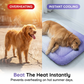 ⏳LAST DAY SALE ONLY💲23.99!!❄️Pawchill™🇺🇸Pet Cooling Mat for Dogs & Cats 🐾  Naturally Cool Ice-Silk Pad • Breathable, Washable & Soft 🌿  For Floors, Sofas & Car Travel • Multiple Sizes • Gradient Colours ☀️🐶🐱