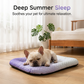 ⏳LAST DAY SALE ONLY💲23.99!!❄️Pawchill™🇺🇸Pet Cooling Mat for Dogs & Cats 🐾  Naturally Cool Ice-Silk Pad • Breathable, Washable & Soft 🌿  For Floors, Sofas & Car Travel • Multiple Sizes • Gradient Colours ☀️🐶🐱