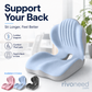 Ergonomic Seat Cushion With Lumbar Support