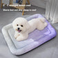 ⏳LAST DAY SALE ONLY💲23.99!!❄️Pawchill™🇺🇸Pet Cooling Mat for Dogs & Cats 🐾  Naturally Cool Ice-Silk Pad • Breathable, Washable & Soft 🌿  For Floors, Sofas & Car Travel • Multiple Sizes • Gradient Colours ☀️🐶🐱