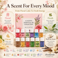 12-Pack Water Soluble Essential Oils Set