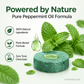 🥳2026 HOT SALE🥳💞50K+ SOLD!🏠🛡️ 50% OFF! All‑Pest Repellent – Safe for pets & wildlife. No poisons, just effective. Use indoors & out. 🐾✅