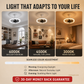 2-in-1 Mute Adjustable Fan Light with Remote Control for Bedroom