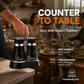 Penguin Design Salt and Pepper Shaker Set