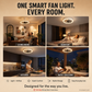 2-in-1 Mute Adjustable Fan Light with Remote Control for Bedroom