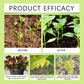 Universal Promote Growth Plant Nutrient Solution