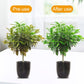 Universal Plant Nutrient Solution | Strong Roots, Healthy Soil, Enhanced Growth