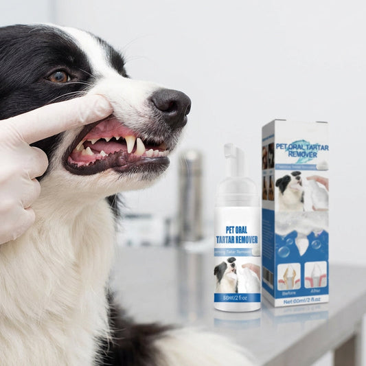 Vet-Approved Breakthrough: How This Foaming Spray Removes Rock-Hard Tartar Without Wrestling Your Pet