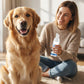 Vet-Approved Breakthrough: How This Foaming Spray Removes Rock-Hard Tartar Without Wrestling Your Pet