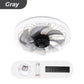 2-in-1 Mute Adjustable Fan Light with Remote Control for Bedroom