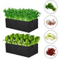 🌱 50% OFF Fabric Raised Garden Bed Planter with Dividers | Breathable Grow Bag for Vegetables, Herbs & Flowers
