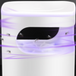 🦟⚡ USB UV Mosquito Trap – Quiet Indoor Fly Catcher with Visible Collection Box