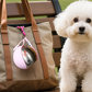 🐾 Foldable Pet Water Bottle for Travel – Portable Stainless Steel Hydration Bottle with Silicone Bowl