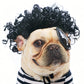 Festive Dog Wig